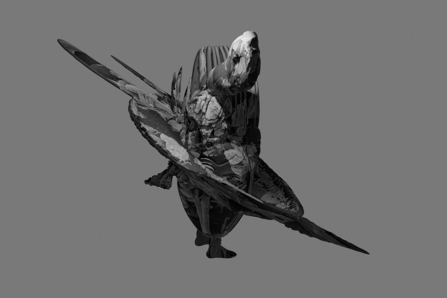 Exposição – Góngora